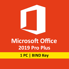Office Professional Plus 2019
 BIND Key 1 PC Lifetime